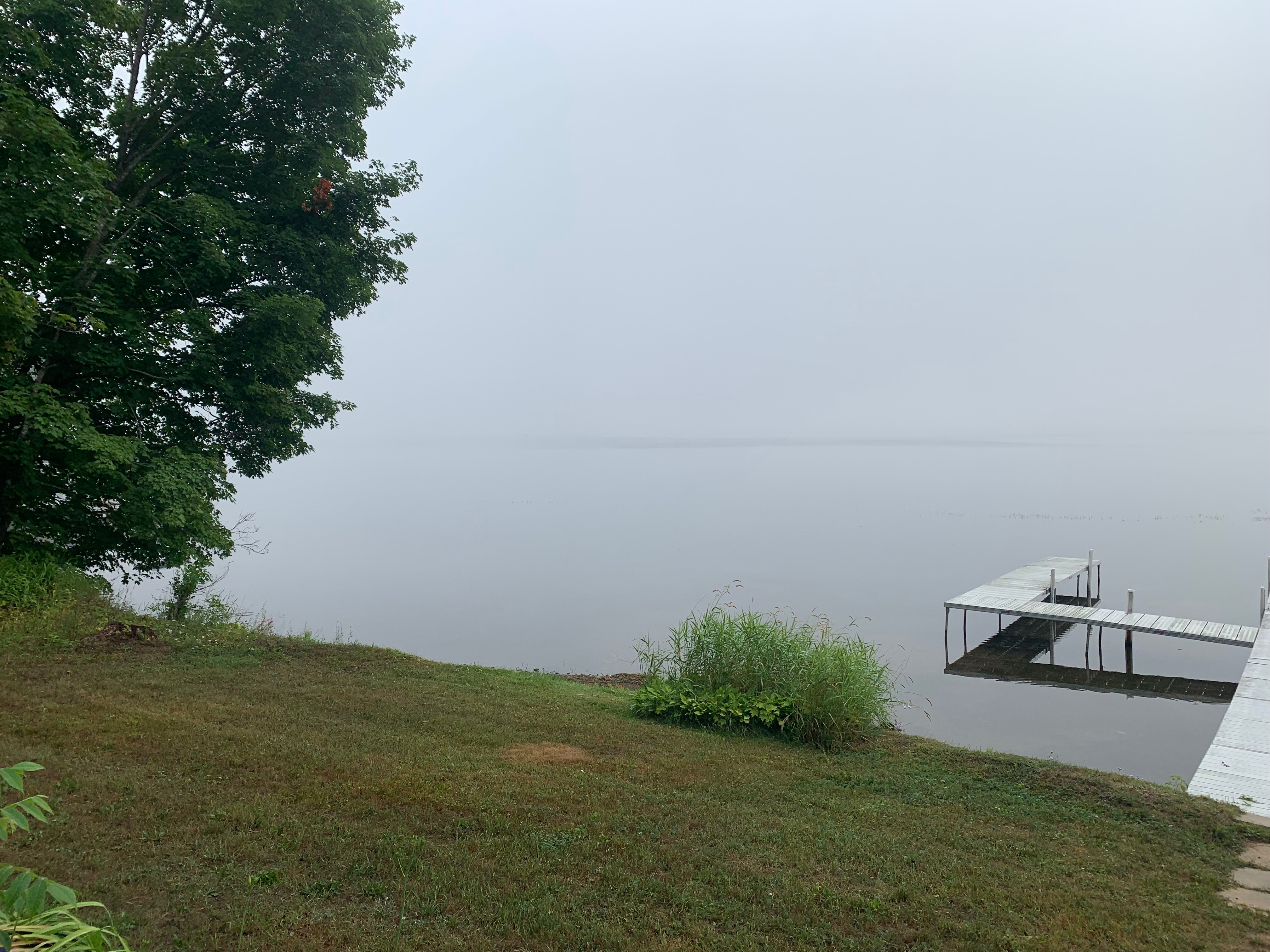 Fog on the lake